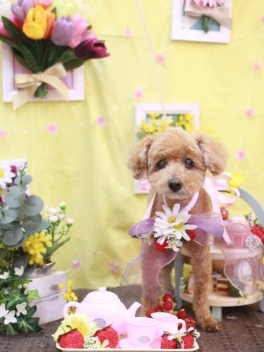 20230318マムちゃん